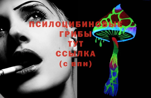стафф Абдулино