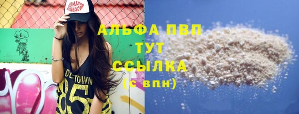 винт Абаза