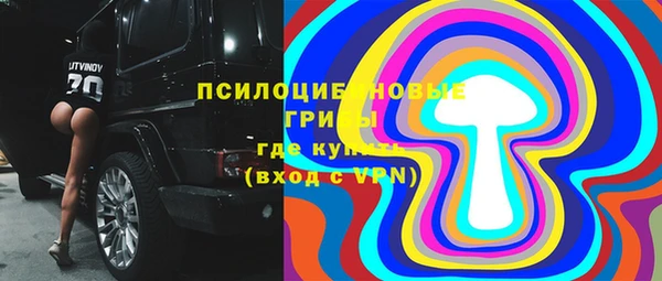 тгк Алзамай