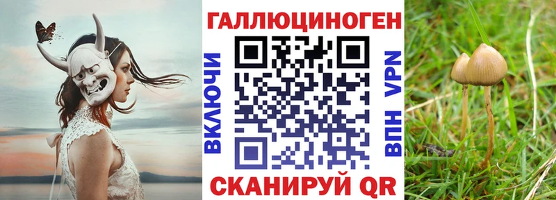 продажа наркотиков  shop состав  Псилоцибиновые грибы Cubensis  Барыш 